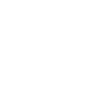 Logo R blanc
